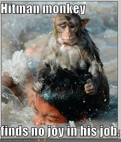 funny-pictures-hitman-monkey-drowns-boy_1002107_0.jpg