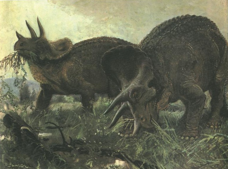 betande-triceratops_1015707_0.jpg