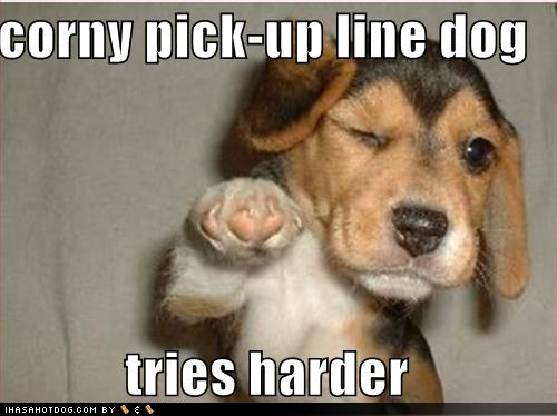 cute-puppy-pictures-corny-pickup-line_1012674_0.jpg