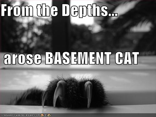 funny-pictures-basement-cat-clw_1011951_2.jpg