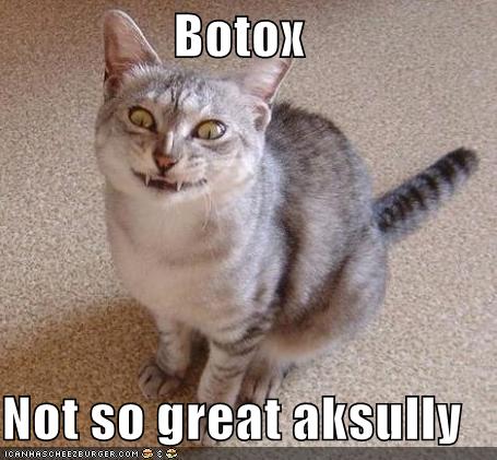 funny-pictures-botox-cat_1011951_0.jpg