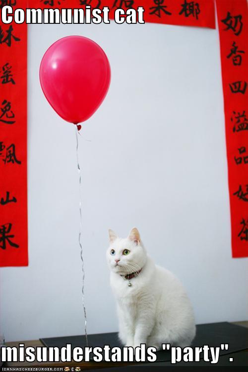 funny-pictures-communist-cat-party_1017443_0.jpg