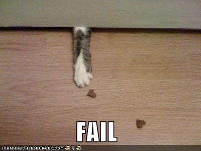 funny-pictures-fail-cat-paw_1016204_0.jpg