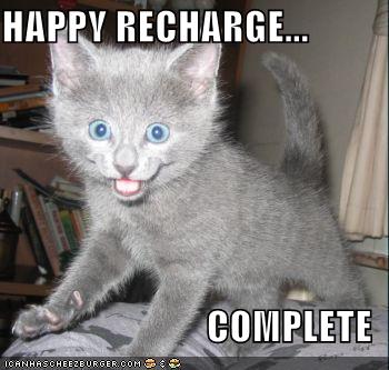 funny-pictures-happy-recharge-grey-kitten_1014842_0.jpg