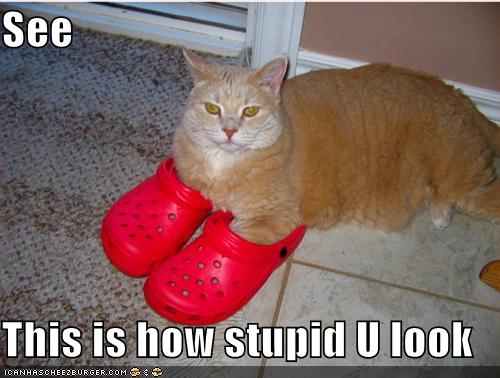 funny-pictures-red-shoes-cat-stupid_1011951_1.jpg