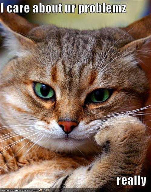 funny-pictures-cat-cares-about-problems_1031205_0.jpg
