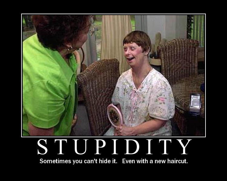 stupidity_1046339_0.jpg