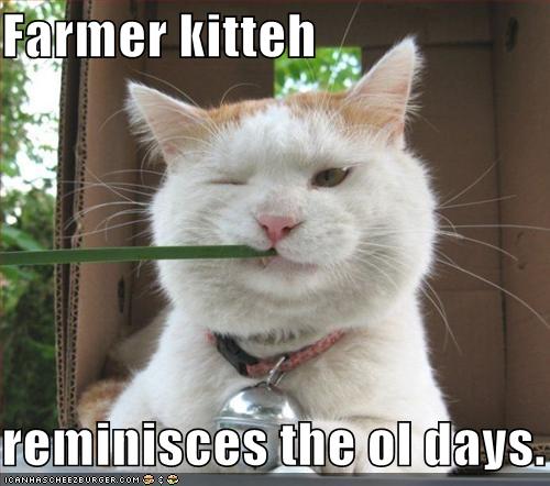 funny-pictures-farmer-cat-thinks-back-on-the-old-days_1060780_0.jpg