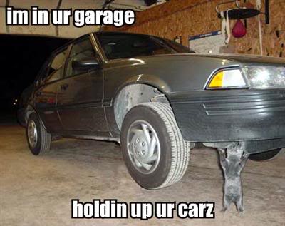 LolCatRenderer2aspxtopiminurgaragebottomholdinupurcarzsize35imagenameqzPtZAAKngWD_1076595_2.jpg