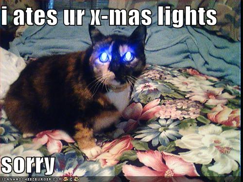 funny-pictures-cat-ate-your-christmas-lights_1072861_0.jpg
