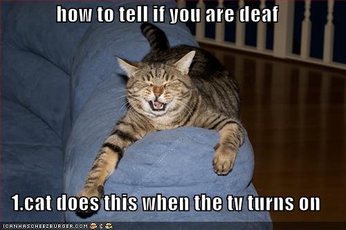 funny-pictures-how-to-tell-if-you-are-deaf_1070582_0.jpg