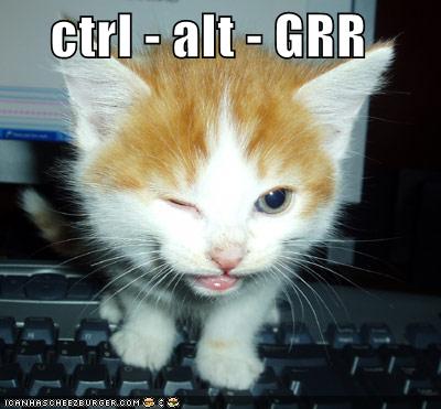 funny-pictures-kitten-presses-ctrl-alt-grr_1070187_1.jpg