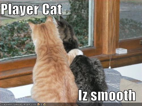 funny-pictures-player-cat-is-smooth_1078302_0.jpg