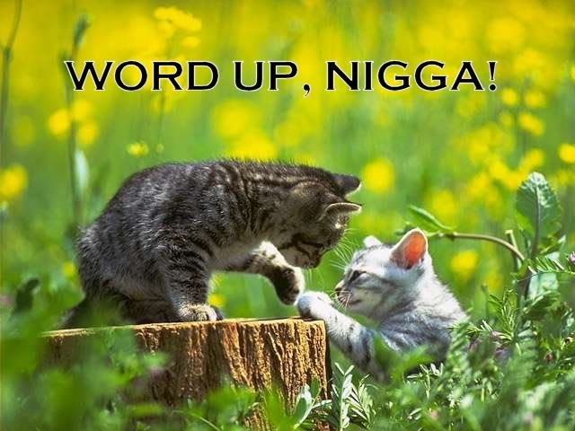 wordupnigga_1072480_0.jpg