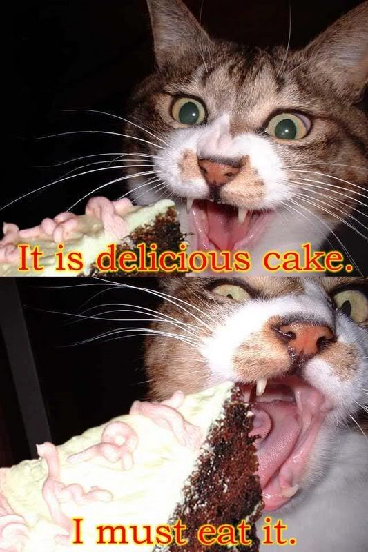 Fun_Cat_Eat_Cake_1085320_0.jpg
