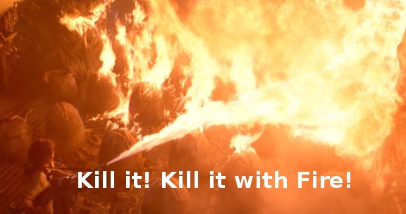 Kill_it_With_Fire_Aliens_1080147_0.jpg