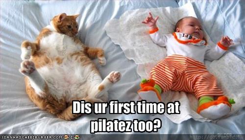 funny-pictures-cat-asks-if-it-is-your-first-time-at-pilates_1085845_0.jpg