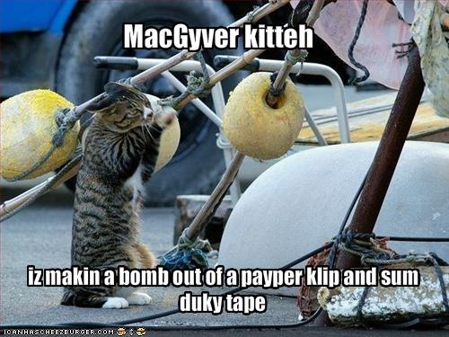 funny-pictures-your-cat-is-making-a-bomb_1086210_0.jpg