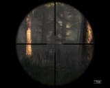 th_Hunter_F2009-02-2617-02-56-07_1089558_1.jpg