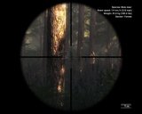 th_Hunter_F2009-02-2617-03-01-88_1089558_2.jpg