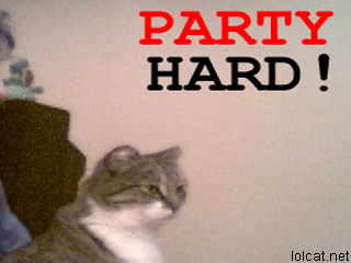 party_hard_cat2_1101799_0.gif