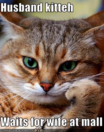 funny-pictures-cat-waits-for-his-wife_1119372_0.jpg