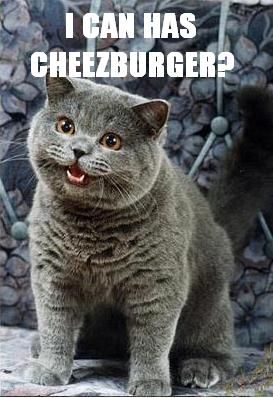 i-can-has-cheezburger_1112680_0.jpg