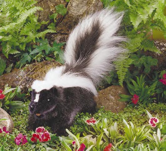 skunk_1116738_0.jpg
