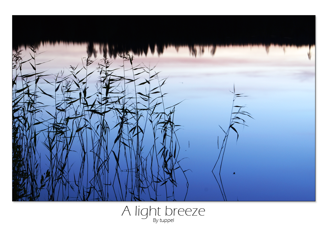A_light_breeze_by_tuppel_1128999_0.png