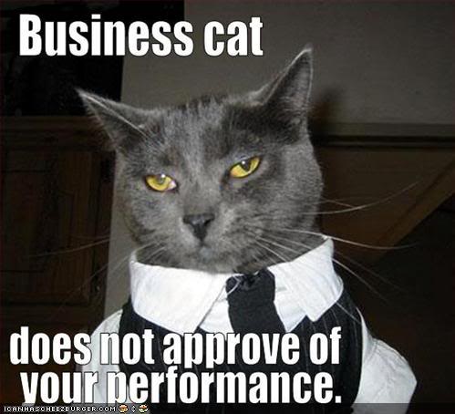 Cat-CatWearingCollarAndTieBusinessC_1121383_0.jpg