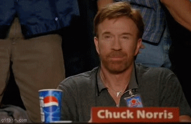1237811519_chuck-norris-approves_1135108_0.gif
