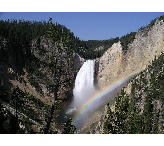 1651429-Lower_Yellowstone_Falls-Yellowstone_National_Park_1146597_0.jpg
