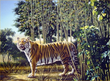 Hidden-Tiger-Optical-Illusion_1150507_0.jpg