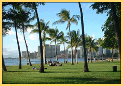 Waikiki-Beach-GIF_1178501_4.gif