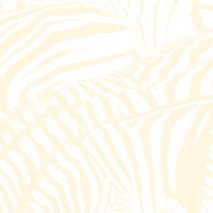 beach-house-teen-dream-300x300.jpg?1264073596