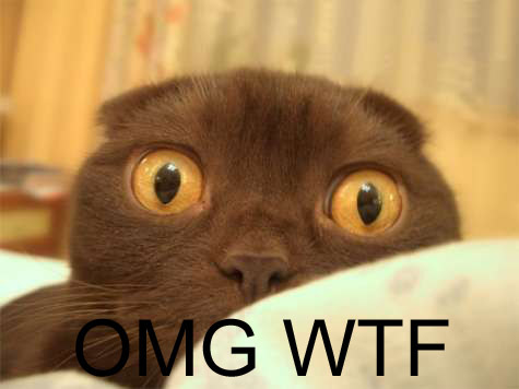 omg-wtf.jpg?1200675043