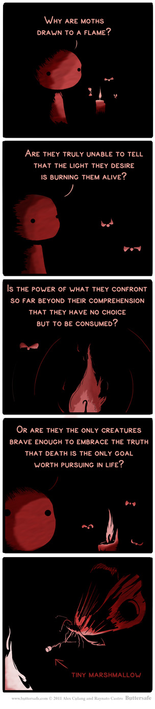 2011-01-20-MothsToAFlame_1202962_0.jpg