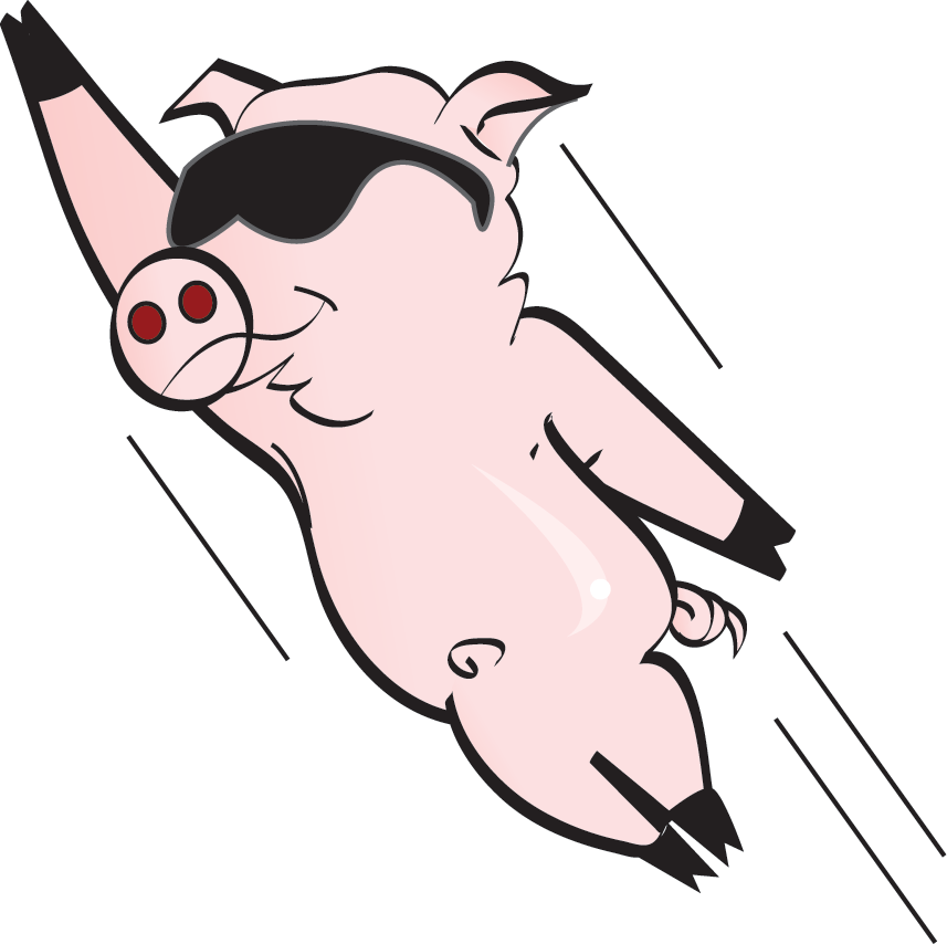 FlyingPig_1206635_1.gif