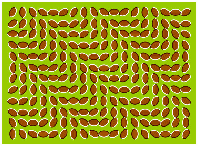 incredible-optical-illusions-coffee-beans_1200026_0.jpg