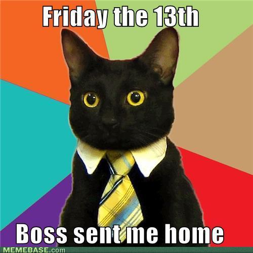 memes-business-cat-you-lucked-out_1209202_0.jpg