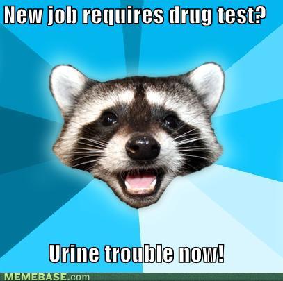 memes-new-job-requires-drug-test-urine-trouble-now_1209257_1.jpg