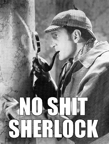 NoShitSherlock_1219219_0.jpg