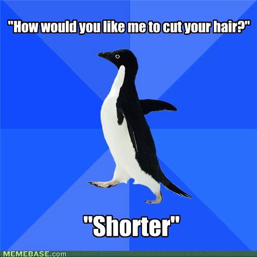 memes-how-would-you-like-me-to-cut-your-hair_1217814_1.jpg