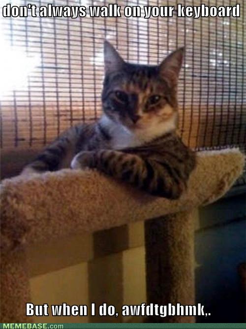 memes-i-dont-always-walk-on-your-keyboard-but-when-i-do-awfdtgbhmk_1210546_1.jpg