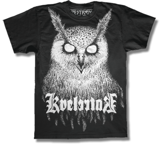 owl_1215862_0.png
