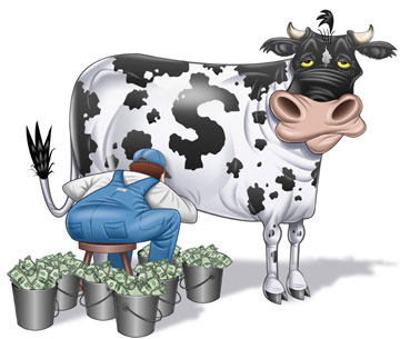 cash-cow_0_1226318_0.jpg