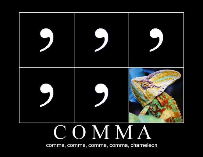 comma_chameleon_karma_chameleon_1229186_0.jpg