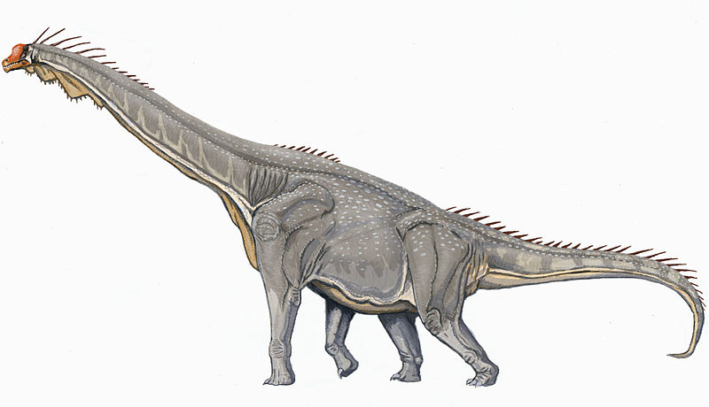 800px-Brachiosaurus_DB_1239652_1.jpg