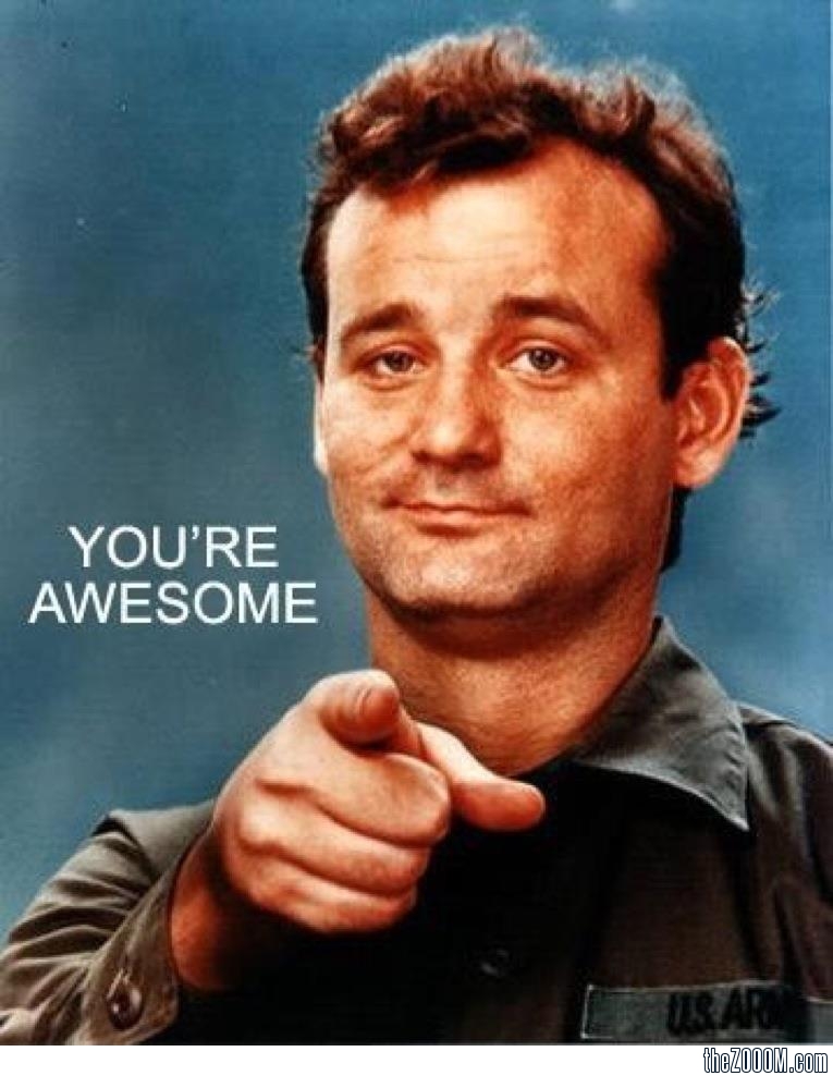 Bill-Murray-Youre-Awesome1_1256250_0.jpg