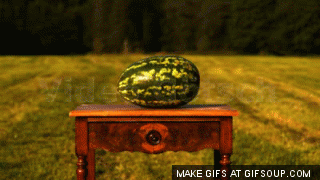 exploding-watermelon-o_1259219_0.gif